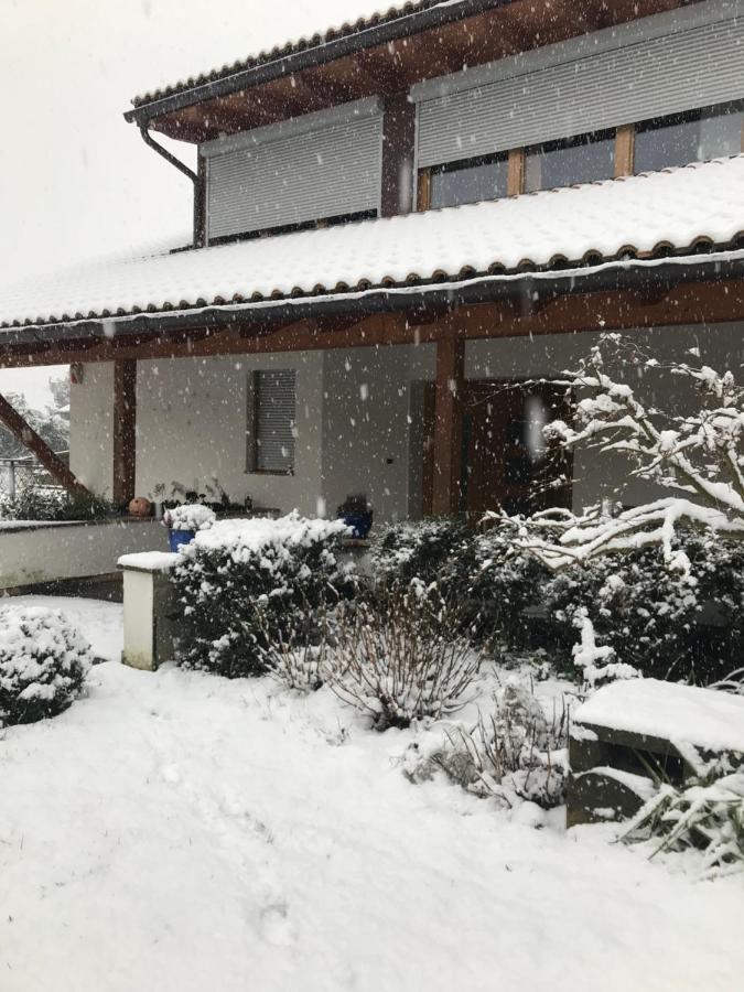 Haus Greti Διαμέρισμα Magre all' Adige Εξωτερικό φωτογραφία